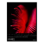 october 2010 calendar post cards