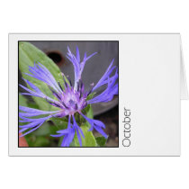 October Greeting Card