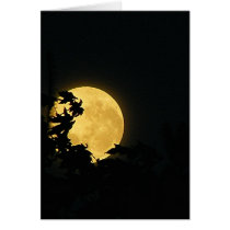 October Moon Greeting Cards