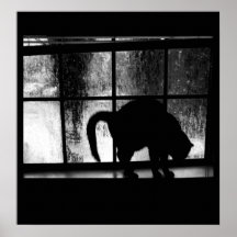 October Showers Cat Silhouette At Window 2 B&W Poster