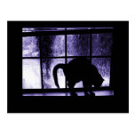 October Showers Cat Silhouette At Window 2 Indigo Post Card