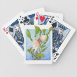 Octopus in Kelp Forest Card Deck