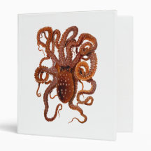 Octopus Macropus Atlantic White Spotted Octopus Vinyl Binders