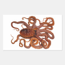 Octopus Macropus Atlantic White Spotted Octopus Sticker