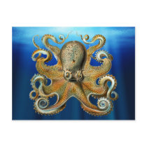 Octopus Postcards