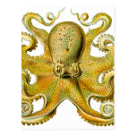 Octopus Yellow Post Card