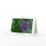 Ode To Mom (Violet Flower) cards