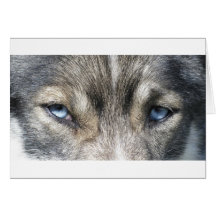 Odins yeux carte