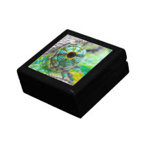 Oeil de caméléon boîte à souvenirs