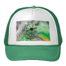 Oeil de caméléon casquettes