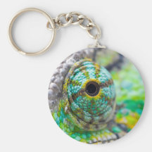 Oeil de caméléon porte-clé
