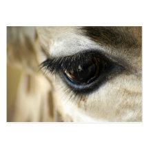 Oeil de girafe - ACEO 8 Cartes De Visite Professionnelles