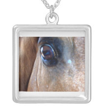 Oeil du collier de spectateur