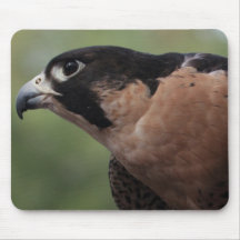 Oeil Mousepad de faucon Tapis De Souris