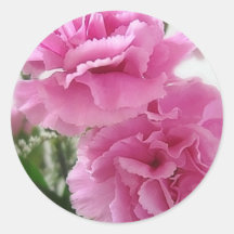 Oeillets roses 1 autocollants
