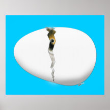 Oeuf à couver posters