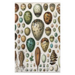 Oeufs stationery