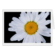 offer cards