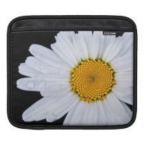 offer ipad sleeves