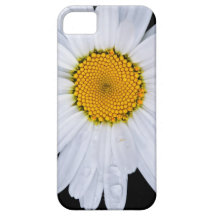 offer iPhone 5 cover