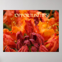 OFFICE ART Opportunities! Rhododendrons Framed Art Print