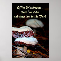 Office Mushrooms...