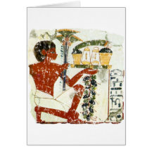 offre de garçon cartes de vœux