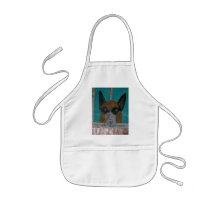 Offutt Air Force Base & Cesar Aprons