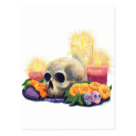 Ofrendas Post Card
