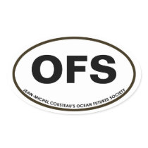 OFS Oval Sticker