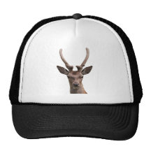 Oh Deer Hat