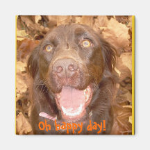 Oh happy day! magnets
