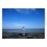 Oh I do Like to be Beside the Seaside Greeting Cards