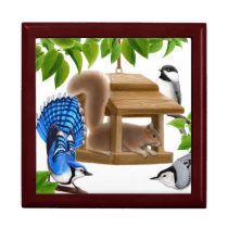 Oh That Naughty Birdfeeder Squirrel Gift Box