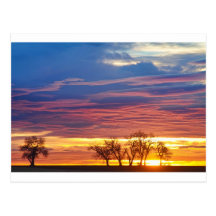 Oh What a Beautiful Morning Post Card