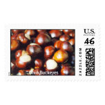 Ohio Buckeyes Postage Stamps