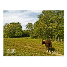 OHIO country postcard