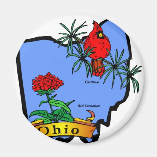 Ohio Fridge Magnet