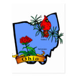Ohio Postcards