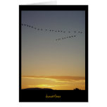 Oies de coucher du soleil cartes