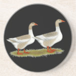 Oies de couleur chamois de Saddleback de Pomerania Dessous De Verre