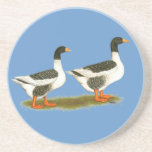 Oies grises de Saddleback Dessous De Verres
