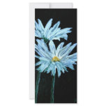 oil painting of white daisy flowers modern art rack cards
