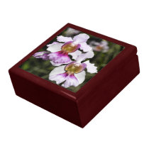 Oil Pastel Orchids gift boxes