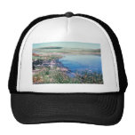 Oil Spill Into Wetlands Mesh Hats
