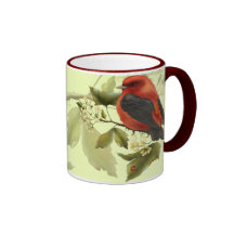 Oiseau chanteur rouge tasse