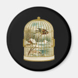 Oiseau dans la scène d'hiver de cage magnets