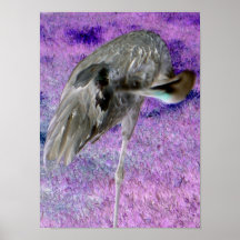Oiseau dans le mouvement poster