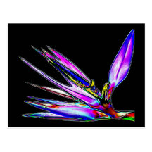 Oiseau de fleur de paradis (effet coloré d'alumini carte postale