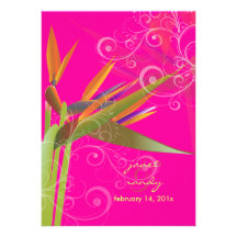 Oiseau de PixDezines du paradis+couleurs de swirls Bristol Personnalisé